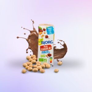 BJORG Lait de Soja Chocolat BIO